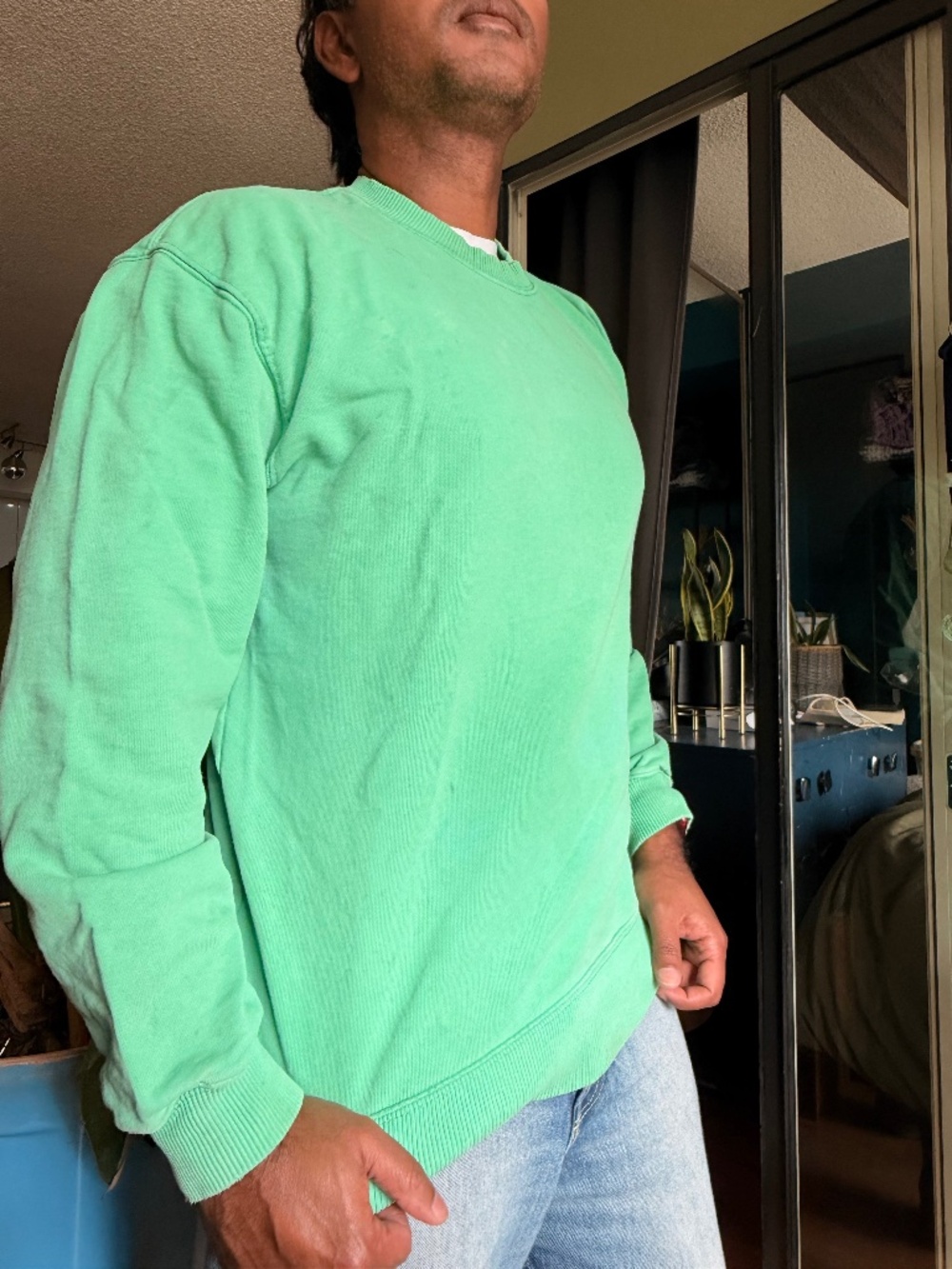 Kelly Green ZARA sweatshirt